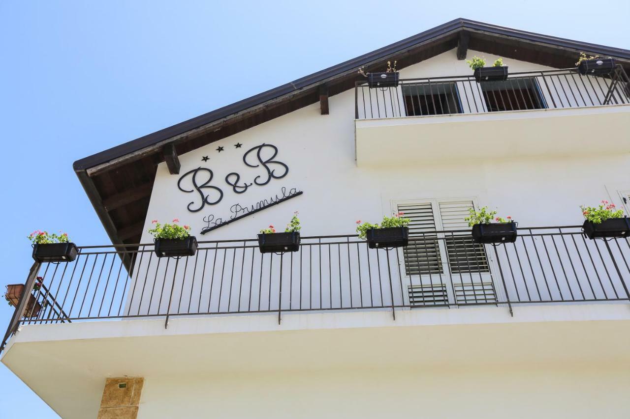 B&B La Primula Piazza Armerina Luaran gambar
